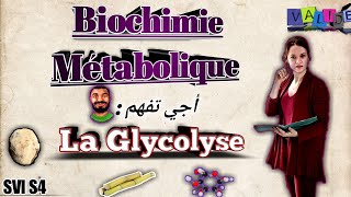 Biochimie métabolique partie des glucides la glycolyse SVI S4 en arabe [upl. by Atinob]