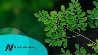 The Benefits of Moringa Is It the Most Nutritious Food [upl. by Galatea]