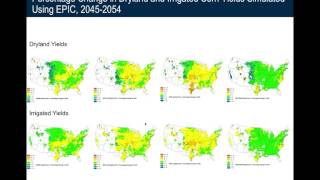 The Economics of Climate Change Mitigation and Adaptation [upl. by Nancey]