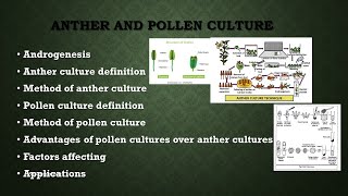 Anther and pollen culture  Androgenesis  Plant tissue culture  AZ Concepts guide [upl. by Amis972]