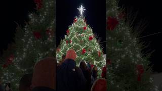 The town gathered to light up town Christmas tree with a countdown 🎄Nove22 2024 virginia [upl. by Janik]