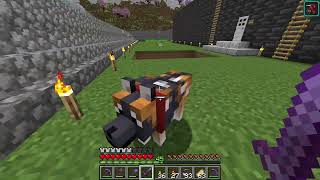 Dog Whimpering sound what does it mean   Minecraft 121 [upl. by Noremak275]