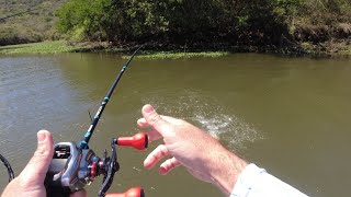 SMASHING the Bass on this LURE at INANDA DAM [upl. by Okemak238]