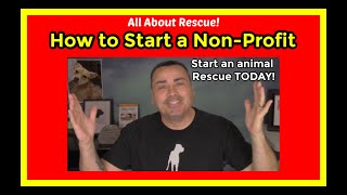 How to start an animal rescue How to start a non profit animal rescue [upl. by Huggins878]