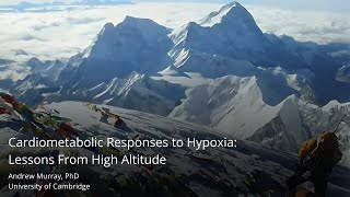 9122024  Cardiometabolic Responses to Hypoxia Lessons From High Altitude [upl. by Thekla]