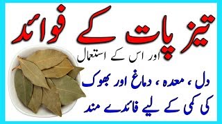 Bay Leaf Benefits  Taiz Paat ke fawaid ur us ke istemal By Hakeem Zia Shahid [upl. by Howenstein12]