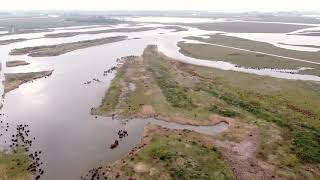 Biesbosch Werkendam [upl. by Eneres]