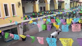 Dental Tourism Los Algodones  Molar City Mexico [upl. by Ardnatal530]