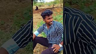 Helana helahelahelana slomo😂tamilsongtrending [upl. by Aihsinyt]