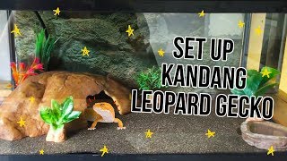 ☆ SET UP KANDANG LEOPARD GECKO ☆ [upl. by Blanchard]