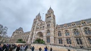 Video Tour  Inside The Natural History Museum London 2024Birmingham Blogs [upl. by Slotnick6]