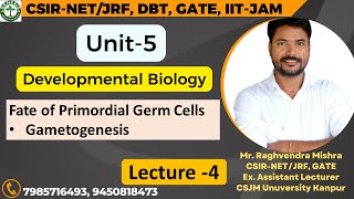 Fate of Primordial Germ Cells  Gametogenesis  L4  Unit5 𝐆𝐞𝐧𝐞𝐬𝐢𝐬 𝐈𝐧𝐬𝐭𝐢𝐭𝐮𝐭𝐞 𝐨𝐟 𝐋𝐢𝐟𝐞 𝐒𝐜𝐢𝐞𝐧𝐜𝐞𝐬 [upl. by Eedolem]