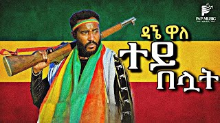 ዳኘ ዋለ dagne wale new music 2023 tey beluat New Ethiopian Music 2023 [upl. by Isabeau935]