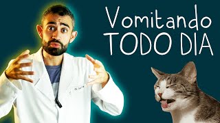 Vômitos recorrentes em CÃES e GATOS  O que pode ser  Dica Veterinária 24 [upl. by Attikin]