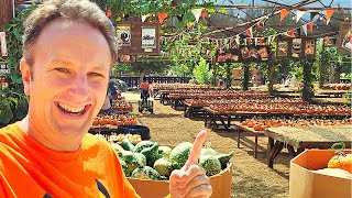 Inside SoCals Giant Pumpkin Patch Live Oak Canyon Farm [upl. by Silvanus332]