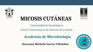 Micosis cutáneas [upl. by Anwat]