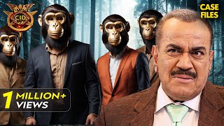 क्या CID पकड़ पायेगी Monkey Gang को  CID  TV Serial Latest Episode [upl. by Donohue]