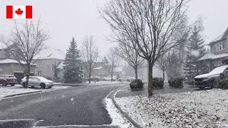 First Snowfall in Toronto GTA area  November 27 2023 [upl. by Darin691]