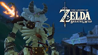 NEW Stal Lynel Boss  Zelda Breath of the Wild [upl. by Ykcin804]