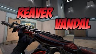 REAVER VANDAL SKIN GAMEPLAY RED  VALORANT REAVER SKINS [upl. by Naret84]