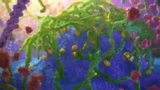 Inner Life of a Cell  Protein Packing Animation [upl. by Henrion]