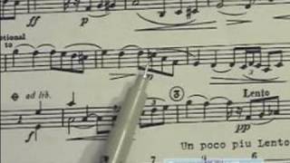 How to Read Sheet Music  How to Read Accidentals in Sheet Music [upl. by Paviour]