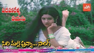 Sirimalle Puvva Video Song HD  Padaharella Vayasu Movie Songs  Sridevi  YOYO TV Music [upl. by Odlo]