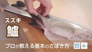 鱸（すずき）のさばき方  How to filet Japanese Seaperch ｜日本さばけるプロジェクト（海と日本プロジェクト） [upl. by Gemmell]