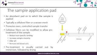 Lateral Flow Webinar A Guide to Lateral Flow Immunoassay Development [upl. by Riffle]