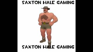 Saxton Hale Gaming [upl. by Adnuahs]