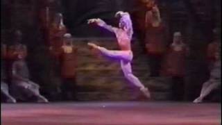 La Bayadere Solor variation Nikolai Tsiskaridze [upl. by Thisbe]