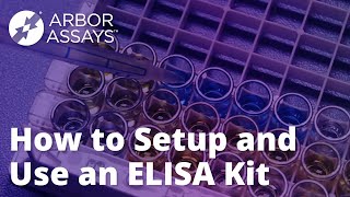 How to Setup and Use An ELISA Kit  Arbor Assays [upl. by Olmstead]