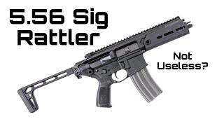 556 Sig Rattler Converted to 22LR [upl. by Brew]