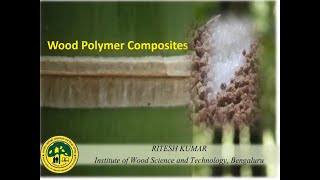 Presentation on ‘Wood Polymer Composites’ by Dr Ritesh Kumar [upl. by Apfel437]