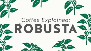 Coffee Explained Robusta Blend Coffee [upl. by Link]