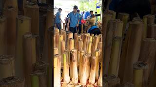 Edible Dwarf Coconut Tree  Coconut Tree Cutting Skills [upl. by Acnaib924]