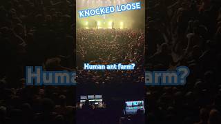 Memorizing Mosh Pit🤘knockedloose7921 hardcore metalcore shorts moshpit [upl. by Akili]