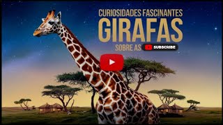 CURIOSIDADES SOBRE AS  GIRAFAS  Documentário [upl. by Wattenberg605]