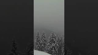 First snow of the year hits Kitzbühel Austria [upl. by Lamrej351]