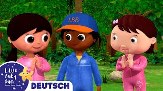 Naturmalerei  Kinderlieder  Little Baby Bum Deutsch  Cartoons für Kinder [upl. by Eannej]