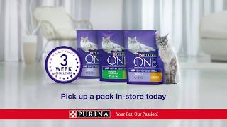 Purina One  Take the 3 Week Challenge [upl. by Millie]