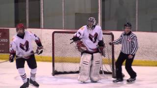 2014 03 02 Edmundston Predators VS Fredericton Bruins [upl. by Kreis653]