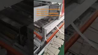 Fully auto magnets and plate pasting machine [upl. by Ahsanat]