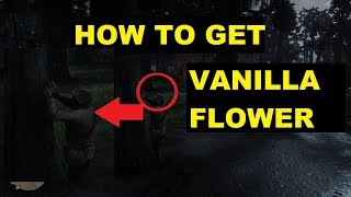 How to get vanilla flower location  Red dead redemption 2 [upl. by Shuma]