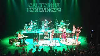 California Honeydrops  Vic [upl. by Bolitho]