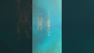 Freediving with Coralia Dives [upl. by Tray740]