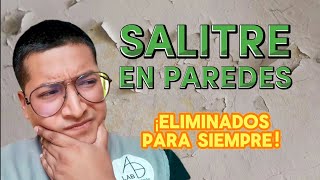 💦Como Quitar el SALITRE de las Paredes con Humedad 🧱 ¡PARA SIEMPRE Tips [upl. by Annerb]