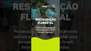 Parte 1 O impacto da restauração florestal yazigi SOSmataatlantica acttoimpact reflorestamento [upl. by Leafar354]