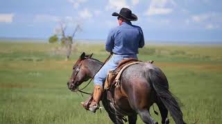 Horseback Riding 101  Cam Schryver a basic handle warmup for your horse [upl. by Prudi636]