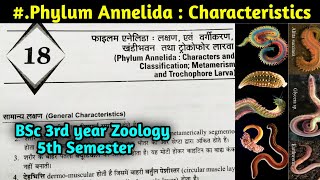 General Characteristics of Phylum Annelida in hindi  BSc 3rd year Zoology 5th Semester [upl. by Flan]